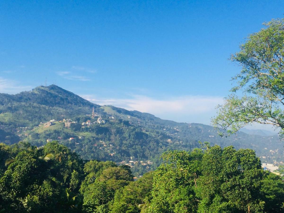 Bed and Breakfast Selyna Sky Terrace Kandy Exterior foto
