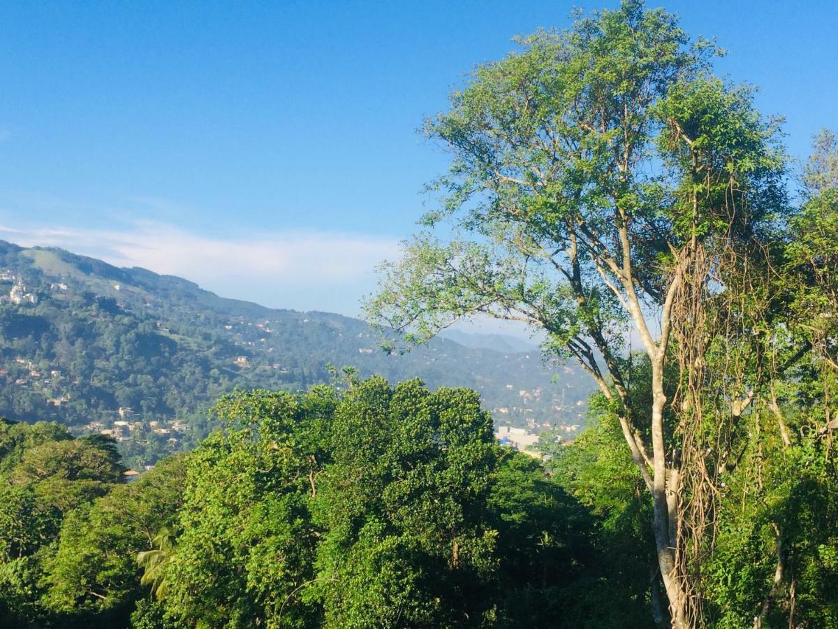 Bed and Breakfast Selyna Sky Terrace Kandy Exterior foto
