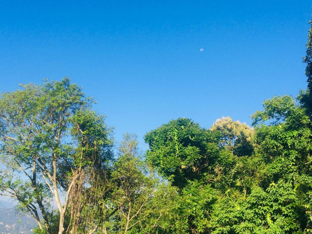 Bed and Breakfast Selyna Sky Terrace Kandy Exterior foto