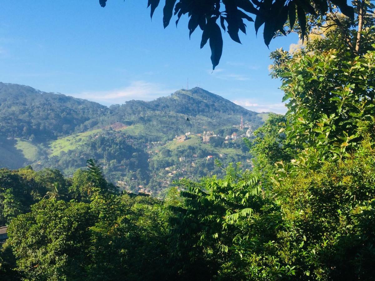 Bed and Breakfast Selyna Sky Terrace Kandy Exterior foto